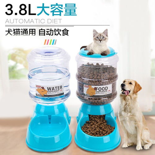 寵物飲水與喂食解決方案 自動設備的優勢與美容服務結合