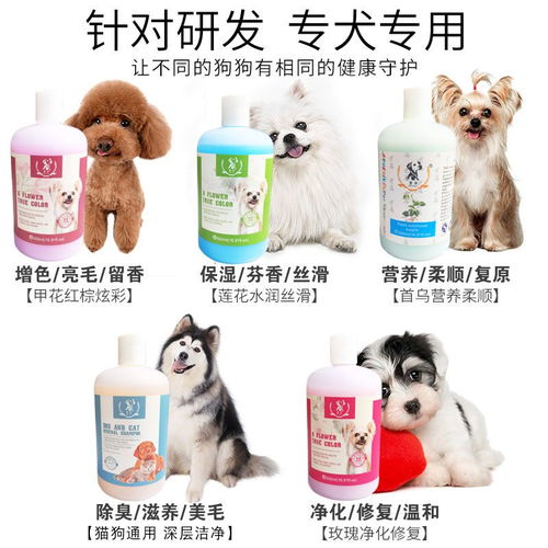 狗狗專用沐浴露 殺菌除臭，守護寵物的健康與舒適