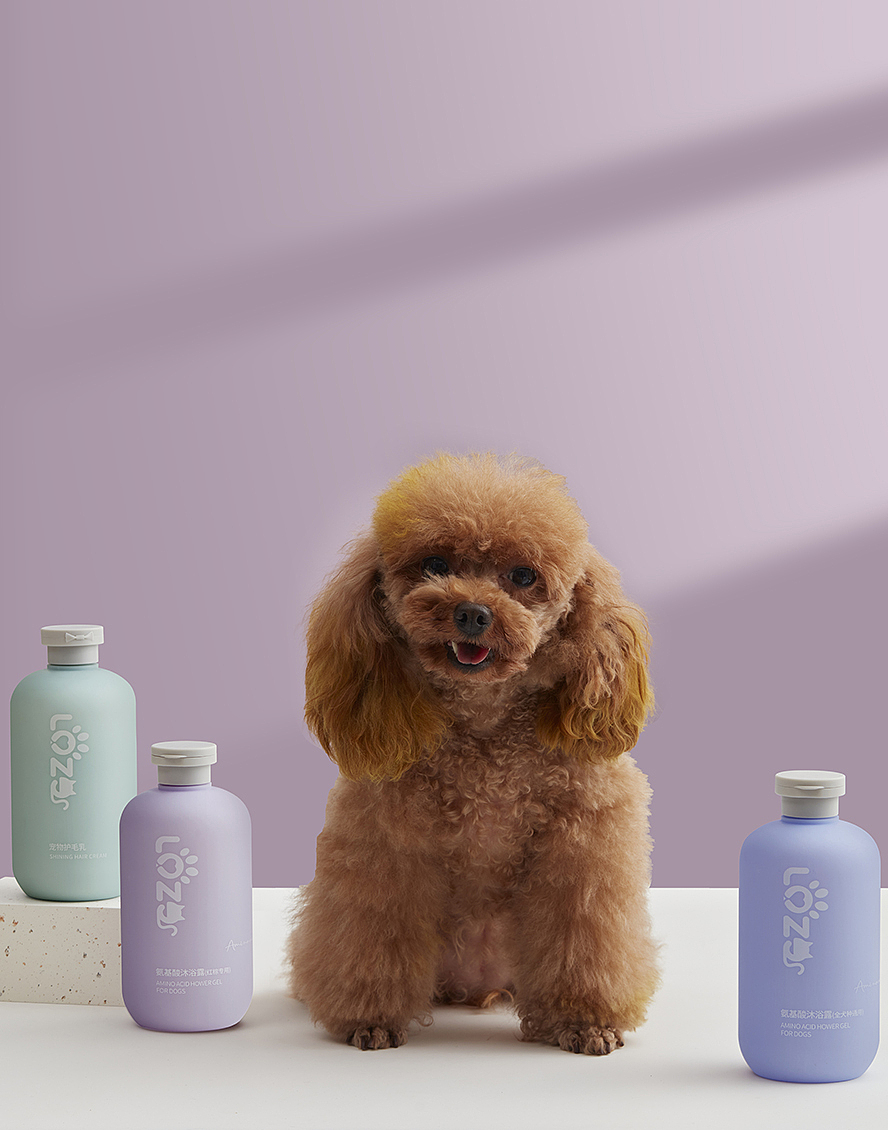 寵物用品攝影 捕捉萌寵與產品的完美瞬間